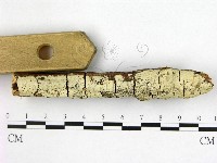 登錄號:F0022403藏品圖，第1張