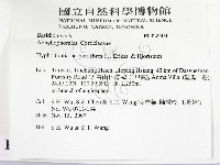 登錄號:F0022404藏品圖，第2張