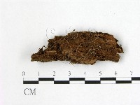 登錄號:F0022407藏品圖，第1張