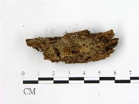 登錄號:F0022407藏品圖，第3張