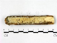 登錄號:F0022409藏品圖，第1張