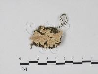 登錄號:F0022413藏品圖，第1張