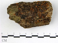 登錄號:F0022414藏品圖，第1張