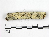 登錄號:F0022415藏品圖，第1張