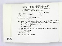 登錄號:F0022419藏品圖，第2張