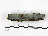 登錄號:F0022419藏品圖，第1張