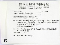 登錄號:F0022421藏品圖，第2張