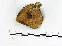 登錄號:F0022422藏品圖，第3張