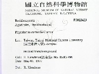 登錄號:F0022423藏品圖，第2張