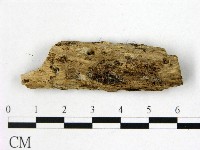 登錄號:F0022423藏品圖，第1張