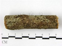 登錄號:F0022425藏品圖，第1張