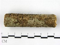 登錄號:F0022425藏品圖，第3張