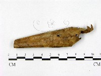 登錄號:F0022427藏品圖，第1張