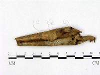 登錄號:F0022427藏品圖，第3張