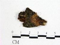 登錄號:F0022428藏品圖，第1張