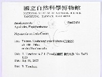 登錄號:F0022429藏品圖，第2張