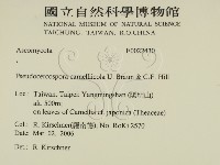 登錄號:F0022430藏品圖，第2張