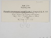 登錄號:F0022430藏品圖，第3張