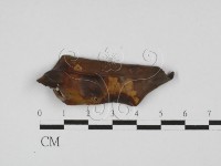 登錄號:F0022430藏品圖，第1張