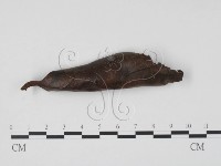 登錄號:F0022430藏品圖，第4張