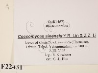 登錄號:F0022431藏品圖，第2張