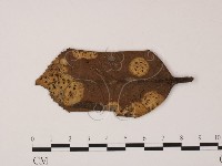 登錄號:F0022431藏品圖，第1張