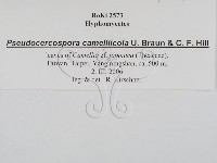 登錄號:F0022432藏品圖，第3張