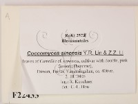 登錄號:F0022433藏品圖，第2張