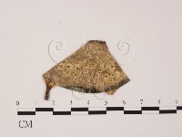 登錄號:F0022433藏品圖，第1張