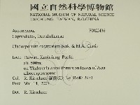 登錄號:F0022436藏品圖，第2張