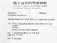 登錄號:F0022437藏品圖，第2張