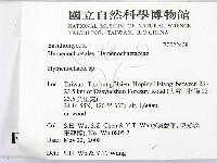 刺革菌屬藏品圖，第2張