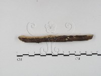 登錄號:F0022440藏品圖，第3張