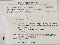 登錄號:F0022441藏品圖，第2張