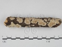 登錄號:F0022441藏品圖，第1張