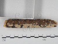 登錄號:F0022441藏品圖，第3張