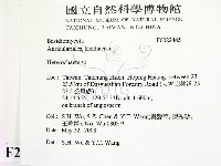 刺皮菌屬藏品圖，第2張