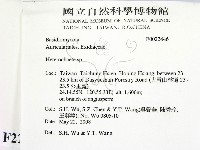 刺皮菌屬藏品圖，第2張