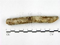 登錄號:F0022449藏品圖，第1張