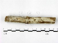 登錄號:F0022449藏品圖，第3張