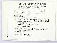 樹狀皮革菌屬藏品圖，第2張