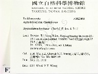 登錄號:F0022455藏品圖，第2張