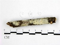 登錄號:F0022455藏品圖，第1張