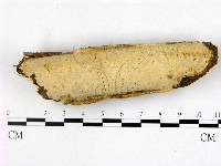 登錄號:F0022456藏品圖，第1張