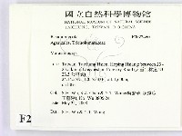 小皮傘屬藏品圖，第2張