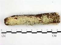 登錄號:F0022461藏品圖，第1張