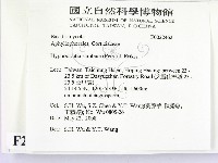 冇骨消絲齒菌藏品圖，第2張