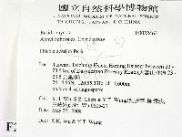 登錄號:F0022463藏品圖，第2張