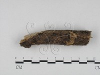 登錄號:F0022465藏品圖，第1張