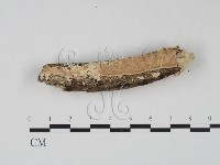 登錄號:F0022466藏品圖，第1張
